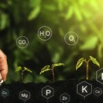 Biostimulants for Enhancing Soil
