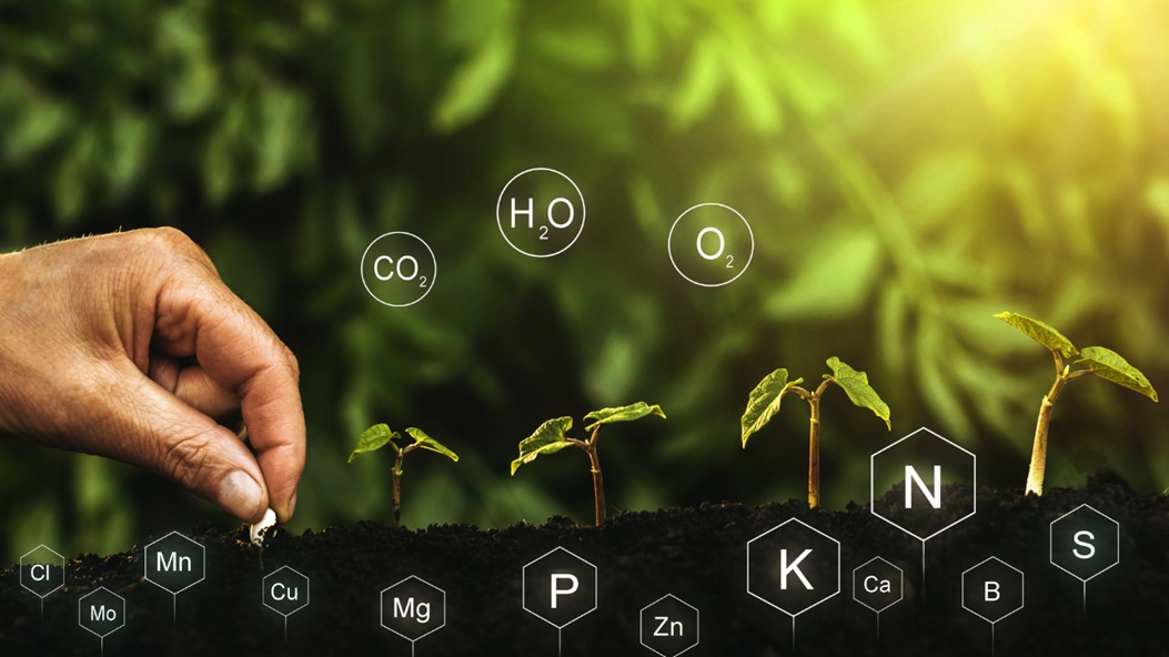 Biostimulants for Enhancing Soil