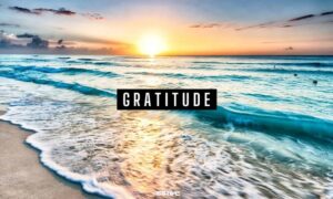 Cultivating Thankfulness